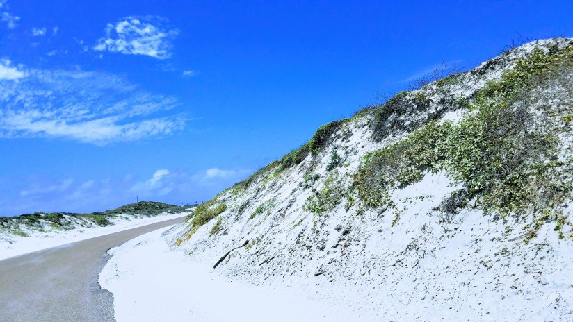 20180519_134415-effects1